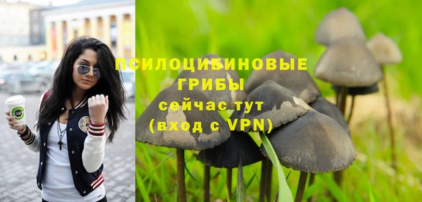 дурь Арсеньев