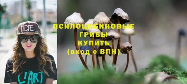 сатива Армянск