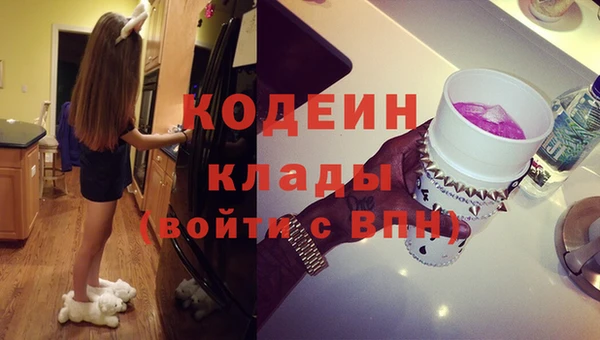 дурь Арсеньев